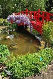 Jardin-Japonais-Paysagiste-pays-basque