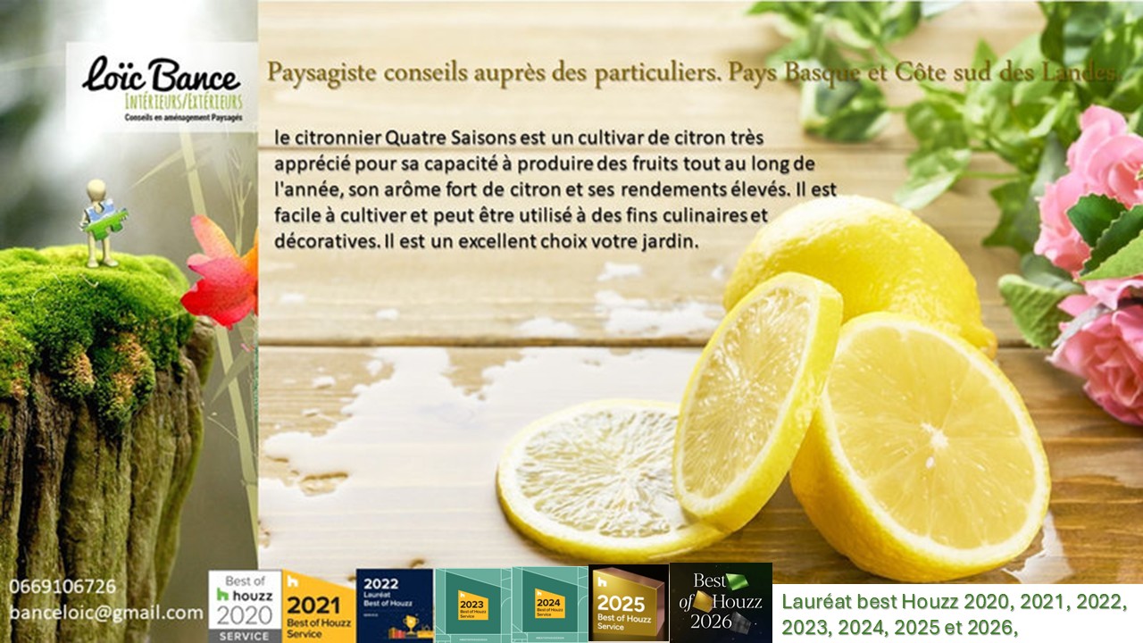 Paysagiste Pays Basque Paysagiste Landes citronnier des quatre saisons
