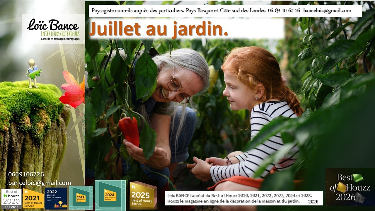 Paysagiste Pays Basque Paysagiste Landes Juillet au jardin