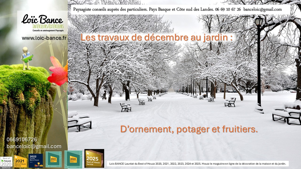 Prenons le temps, ensemble, comme on le ferait autour d’un bon café ou au détour d’un massif encore perlé de pluie, de faire le tour complet des travaux du mois de décembre au jardin.