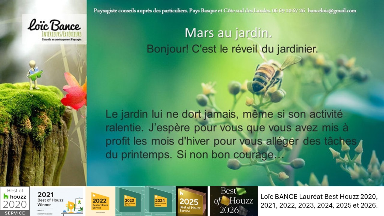 Paysagiste Landes Paysagiste Pays Basque Mars au jardin.