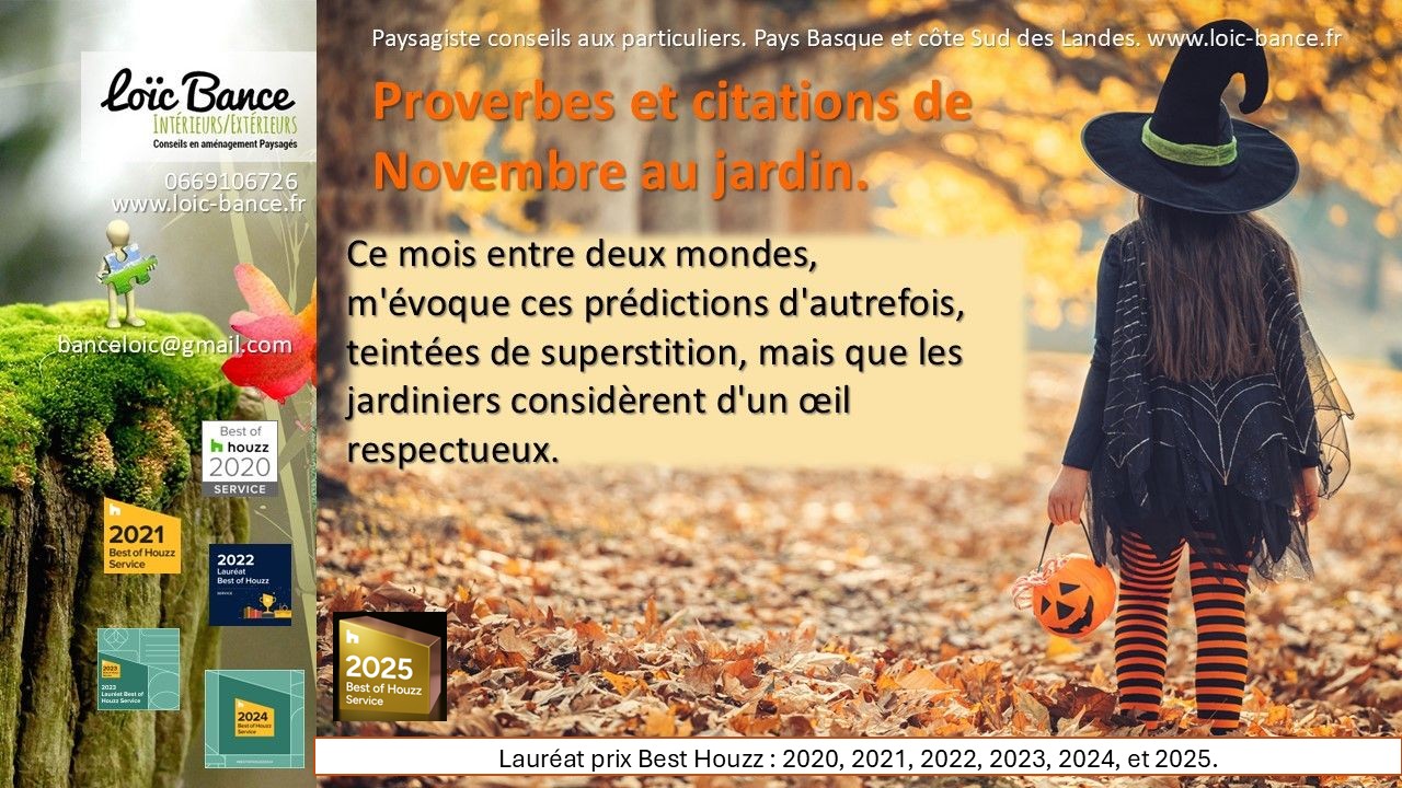 Novembre; Proverbes; Dictons; Dires des anciens; Jardins; croyances; Jardins d'ornements; Jardins potagers; Jardins fruitiers; Vergers; Jardiniers; Radio; Jardins d'ici; Paysages; Aménagements paysagers; Landes; Paysagiste Landes; Pays Basque; Paysagiste Pays Basque; Concepteur de jardins; Ahetze; Paysagiste Ahetze; Anglet; Paysagiste Anglet; Arbonne; Paysagiste Arbonne; Arcangues; Paysagiste Arcangues; Bayonne; Paysagiste Bayonne; Biarritz; Paysagiste Biarritz; Capbreton; Paysagiste Capbreton; Guéthary; Paysagiste Guéthary; Hossegor; Paysagiste Hossegor; Saint Jean de Luz; Paysagiste Saint Jean de Luz; Seignosse; Paysagiste Seignosse; Tosse; Paysagiste Tosse; Dax; Paysagiste Dax;