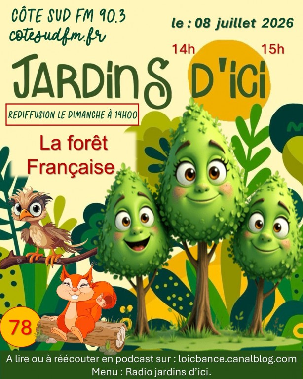 Jardins-d-ici-la-foret-1-Paysagiste-Pays-Basque-Paysagiste-Landes