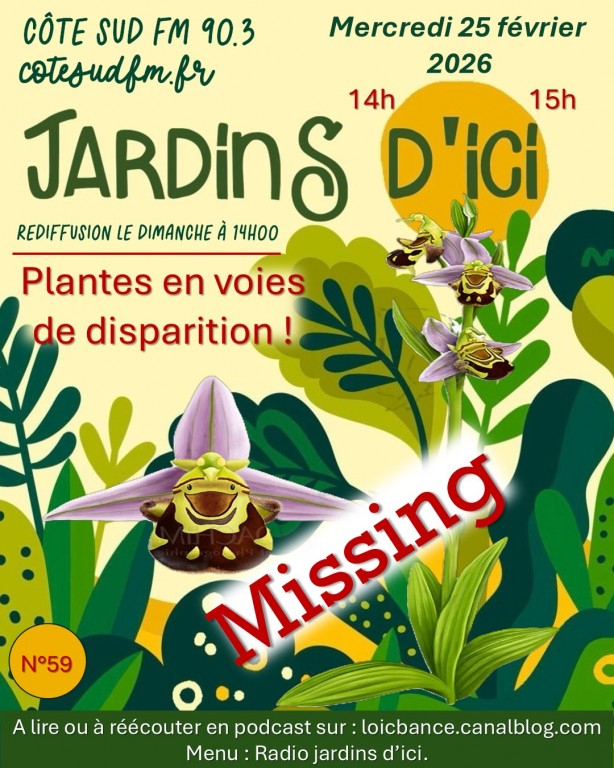 Jadin d'ici par Paysagiste Pays Basque Paysagiste Landes. Jardins en danger.