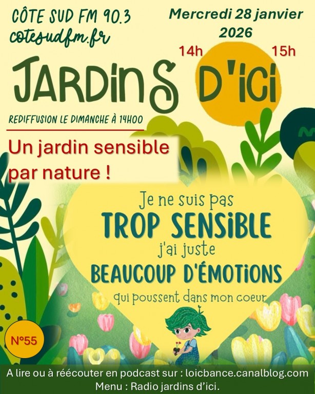 Jardins d'ici Paysagiste Landes Paysagiste Pays basque. Un jardin sensible par nature.