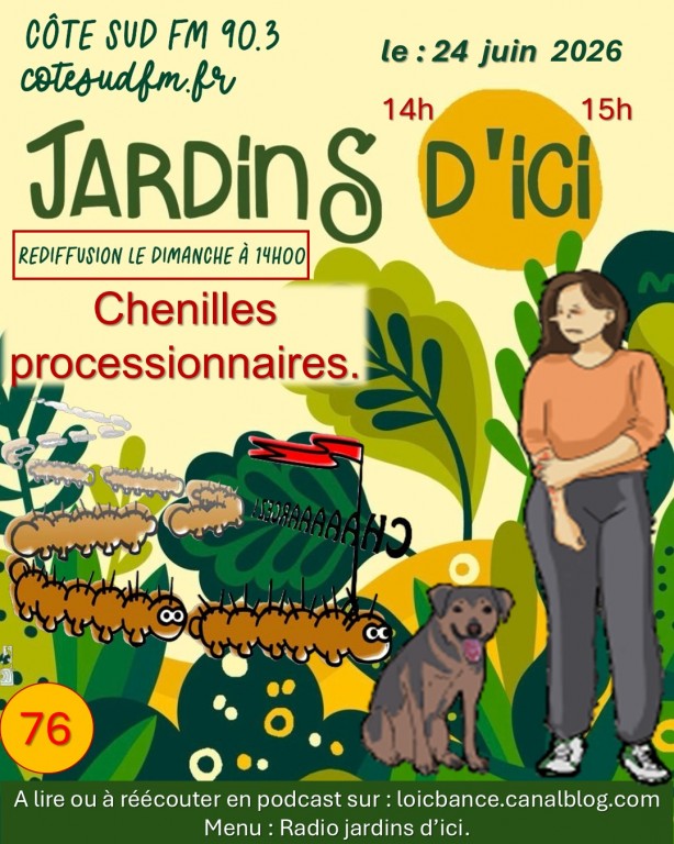 Paysagiste pays Basque Paysagiste Landes. Les chenilles processionnaires