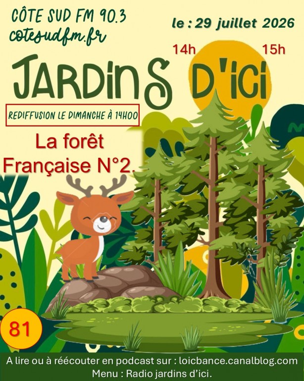 Paysagiste Pays Basque Paysagiste Landes La forêt Française numéro deux.