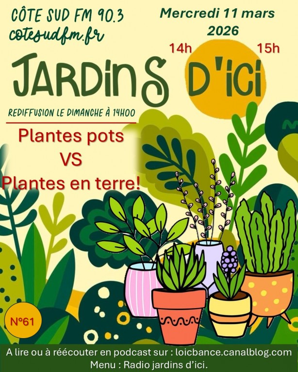 Paysagiste Pays Basque Paysagiste Landes plantes en pots