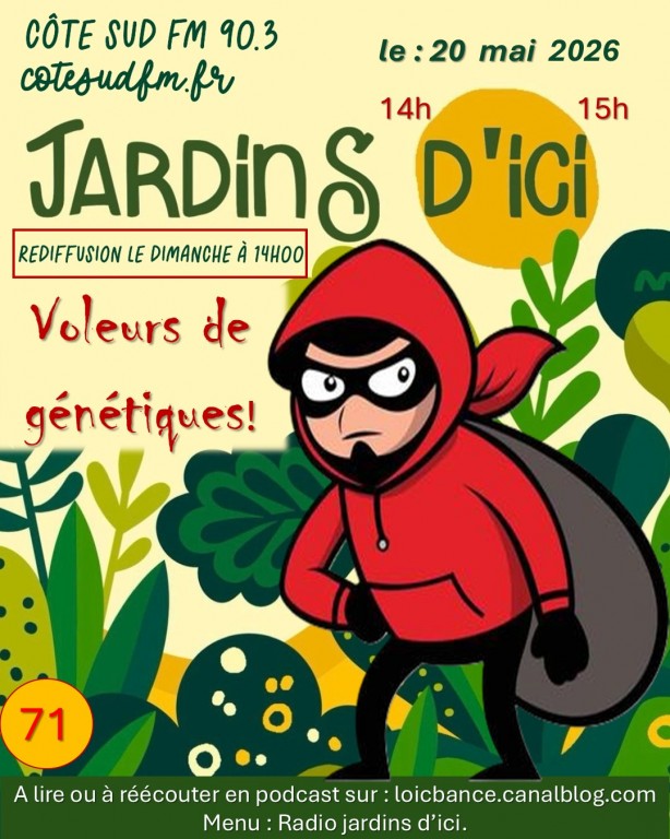 Paysagiste Pays Basque Paysagiste Landes Jardins d'ici. Insecte voleurs de génétique.